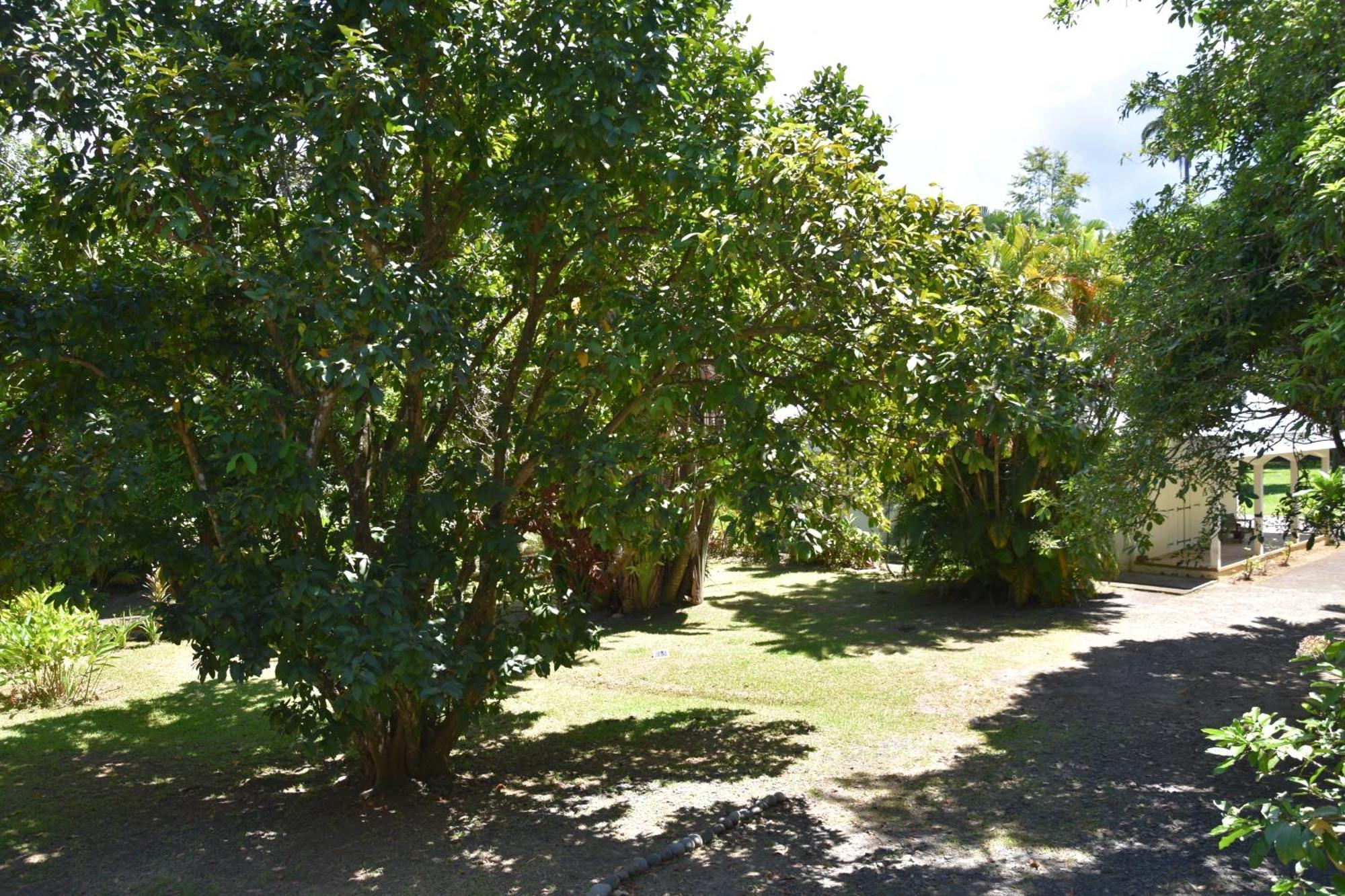 Gite Du Manial "Cabane Du Sentier Des Etoiles" Pointe-Noire Exterior foto